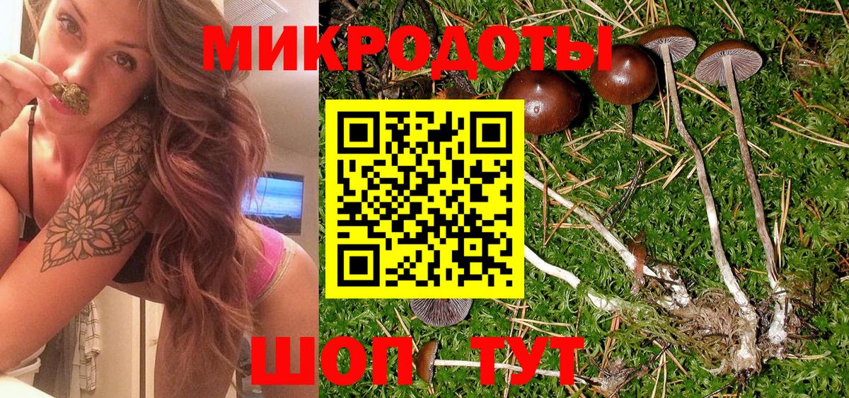 Псилоцибиновые грибы Magic Shrooms Красноармейск