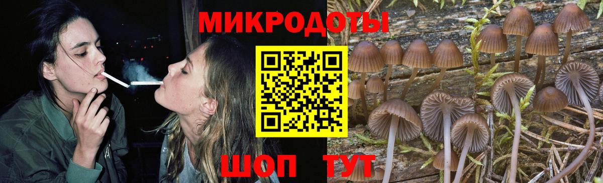 Красноармейск  Галлюциногенные грибы мухоморы  Вход с VPN  Псилоцибиновые грибы Psilocybe 